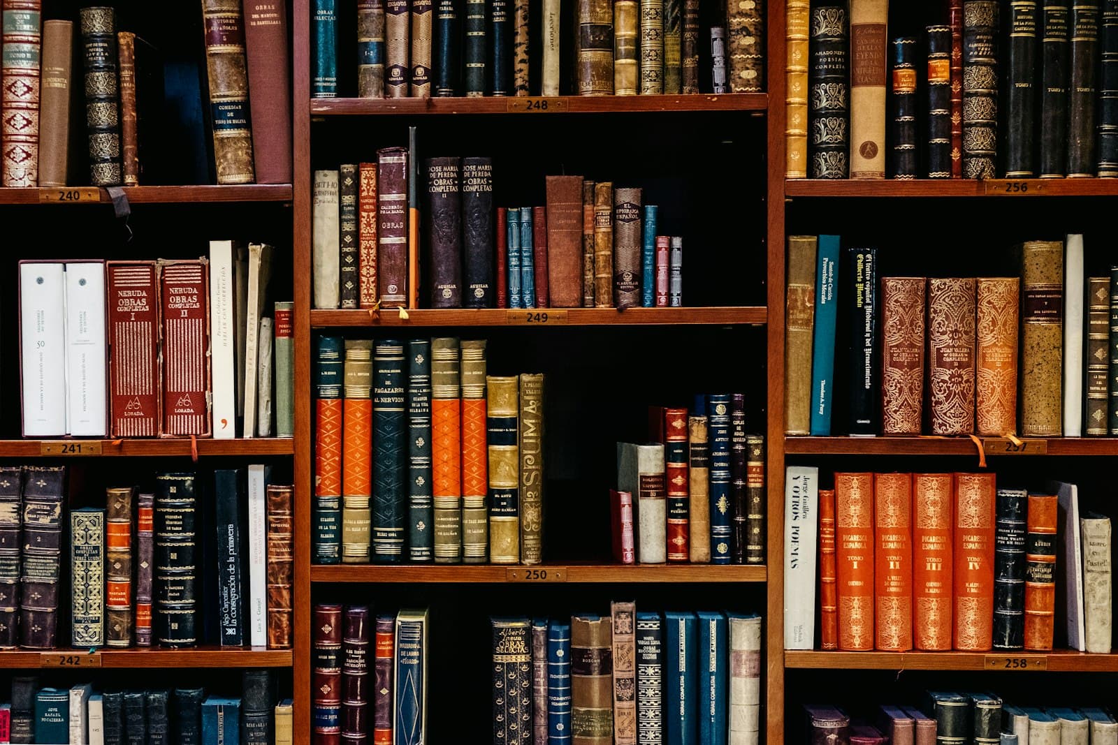 Webplattform für Buchhandlung